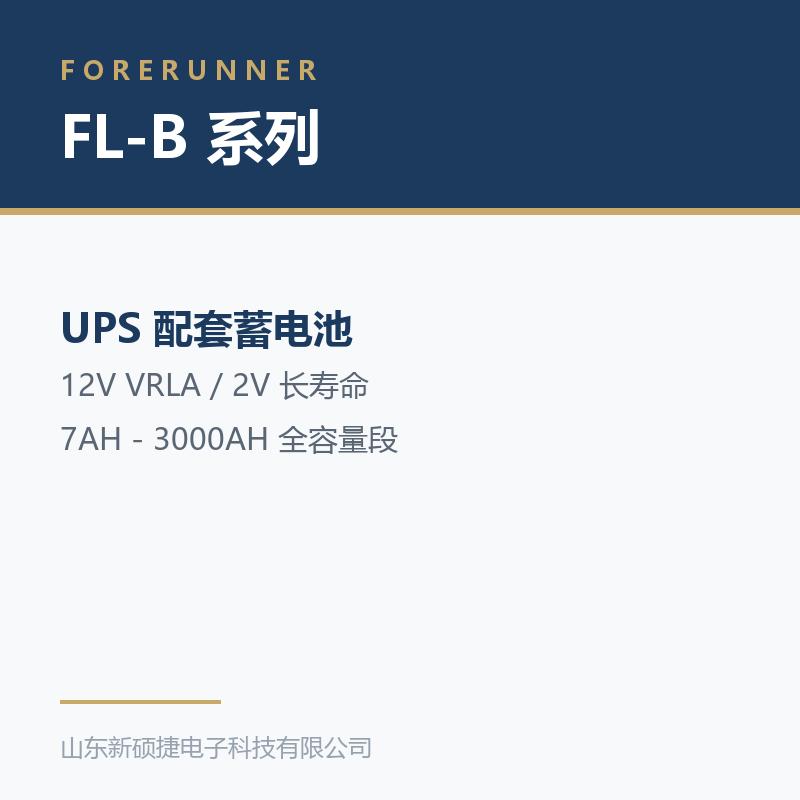 FL-B 系列 12V 阀控式铅酸蓄电池(淄博张店区UPS电源)