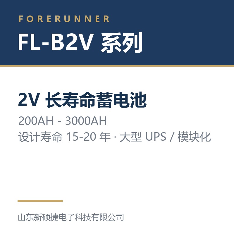 FL-B2V 系列 2V 长寿命蓄电池（淄博张店区UPS电源）
